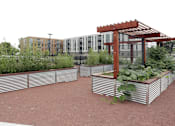 Thumbnail 4 of 10 - A garden with a pergola and raised beds in front of a building.