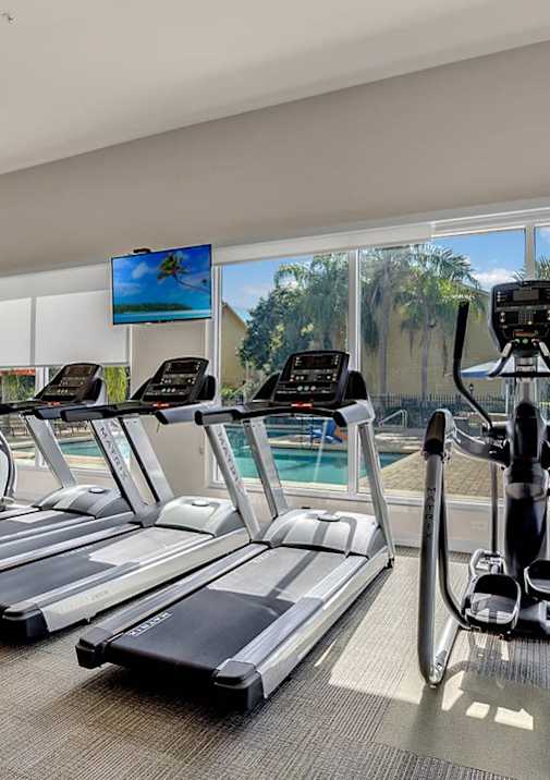 A gym with treadmills, elliptical machines, and a television screen showing a beach scene.