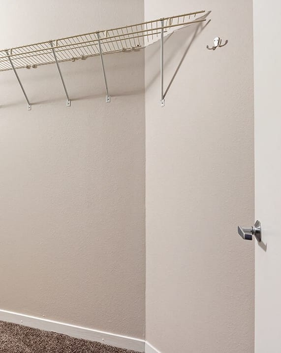 apartment with walk in closet 