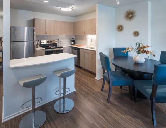 Beautiful Brand New Kitchens at Elm Street Plaza, Chicago, IL