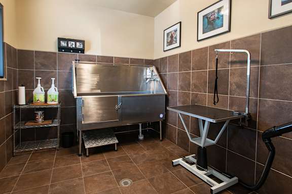 Dog spa at St. Marys Square Apartments, North Carolina