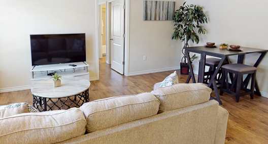 A living room with a couch, a television, and a table with a plant on it.