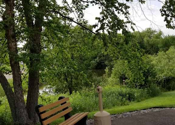 a park bench next to a tree and a river