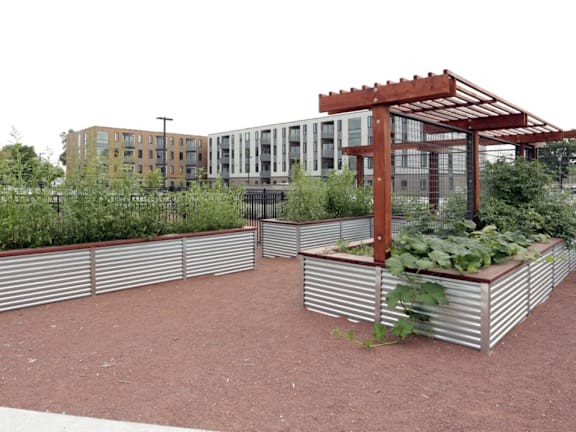 A garden with a pergola and raised beds in front of a building.