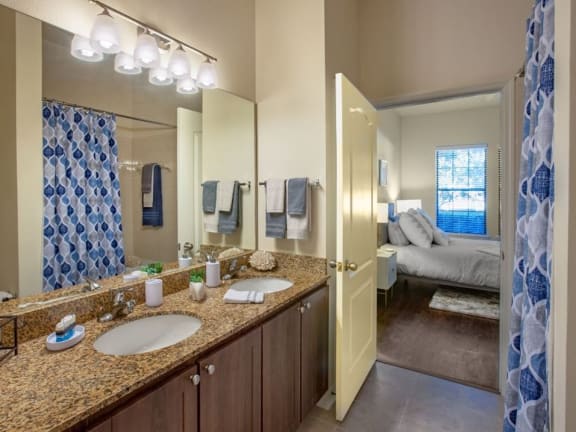 Granite Countertops, Large Mirror and Sink in Bathroom at The Bartram Apartments in Gainesville, FL 32608