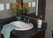Thumbnail 5 of 11 - Bathroom Sink at Pine Village Rental Home Community in Sanford, NC