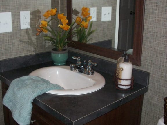 Bathroom Sink at Pine Village Rental Home Community in Sanford, NC