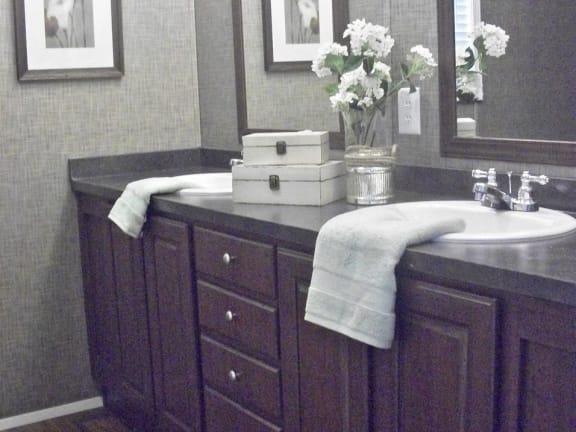 Master Bathroom Sink at Pine Village Rental Home Community in Sanford, NC