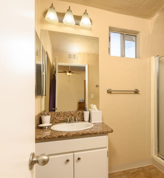 a bathroom with a sink and a shower