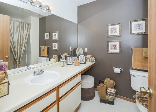Classic Full-Size Bathroom with White Countertop and Vanity