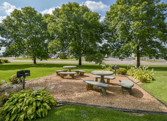 Outdoor Grilling and BBQ Area