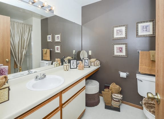 Classic Full-Size Bathroom with White Countertop and Vanity