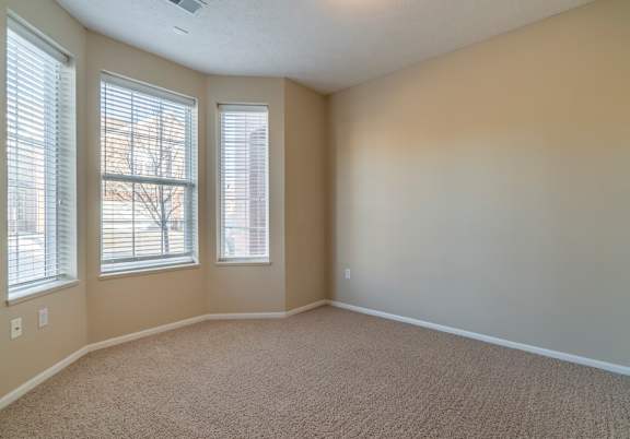 A room with carpeted floor and two windows.