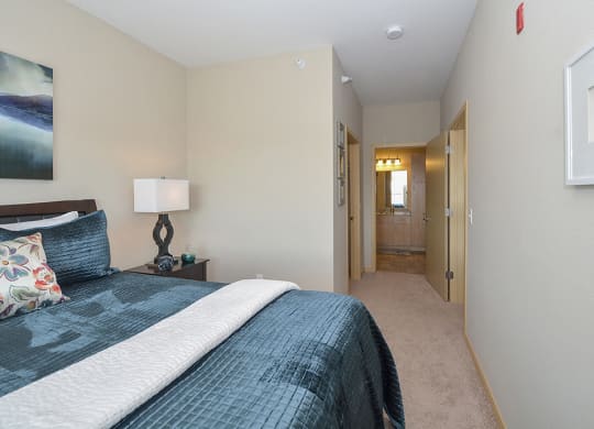 Bedroom with Walk-In Closet