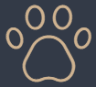 a close up of a dog paw with a dark background