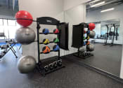 Thumbnail 10 of 11 - a variety of weights in the gym