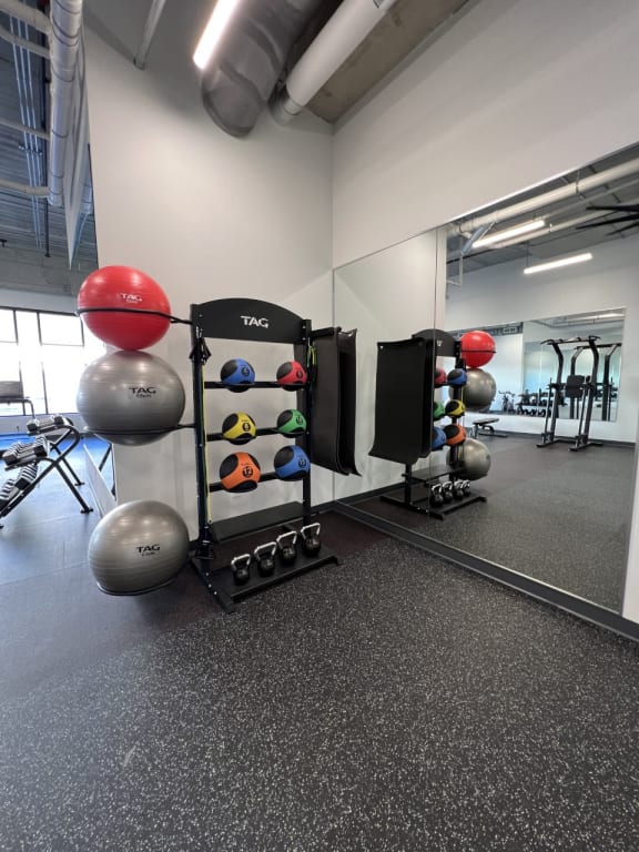 a variety of weights in the gym