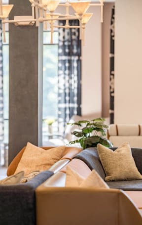 a living room with a couch and a plant