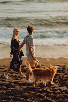 A couple walking their dog on the beach.