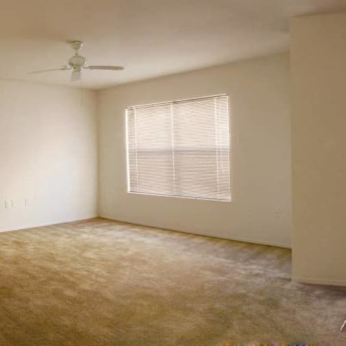 A room with a carpeted floor, a ceiling fan, and a window with blinds. at Oak Glen Apartments, Orlando, 32808
