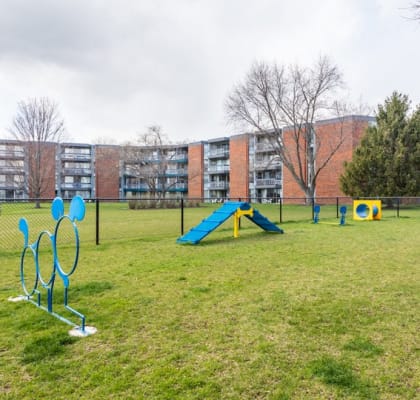 a park with agility equipment and a building in the background