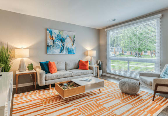 our apartments offer a living room at The View Apartments St Charles, St Charles, IL