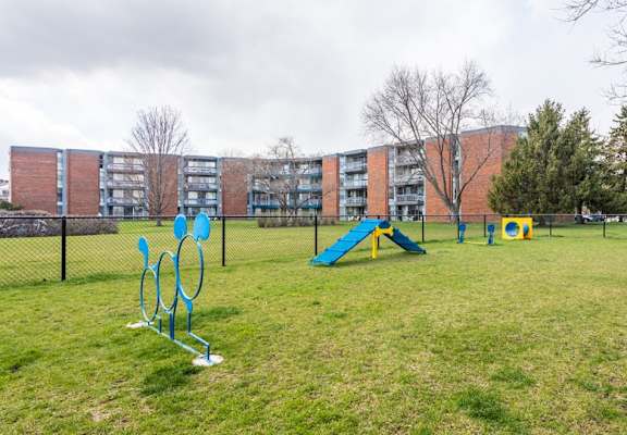 a park with agility equipment and a building in the background