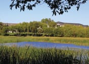 Thumbnail 10 of 21 - Lake