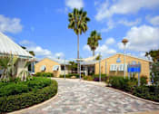 Thumbnail 18 of 26 - Landscaping and palm trees at Coral Club, Bradenton