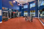 Thumbnail 36 of 80 - Fitness Center at Centre Pointe Apartments in Melbourne, FL