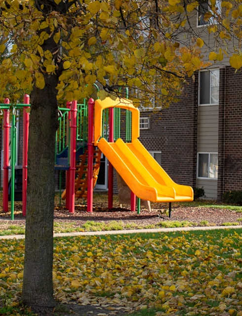 A yellow slide in a playground surrounded by a tree with yellow leaves.