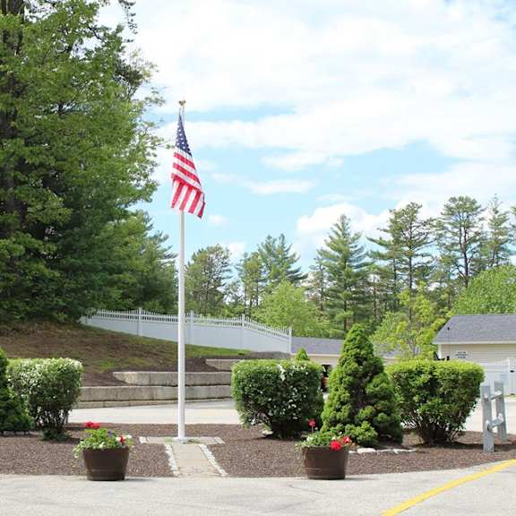 A flag is flying in front of a row of trees.