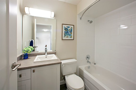 a bathroom with a sink toilet and a bath tub