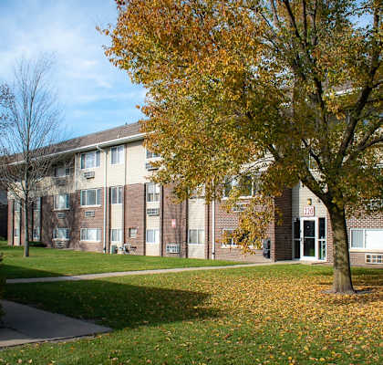 A tree with yellow leaves stands in front of a building.