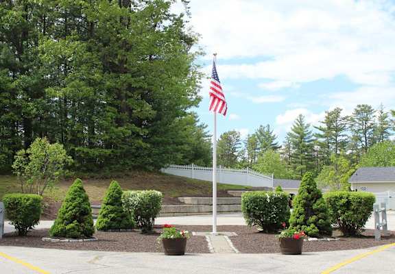 A flag is flying in front of a row of trees.