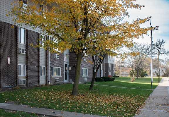 A tree with yellow leaves in front of a brick building.