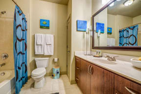 Spectrum South End Bathroom