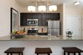 Luxurious modern kitchen - 2828 Zuni - LoHi District Denver