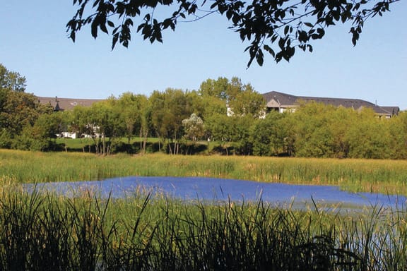 Lake