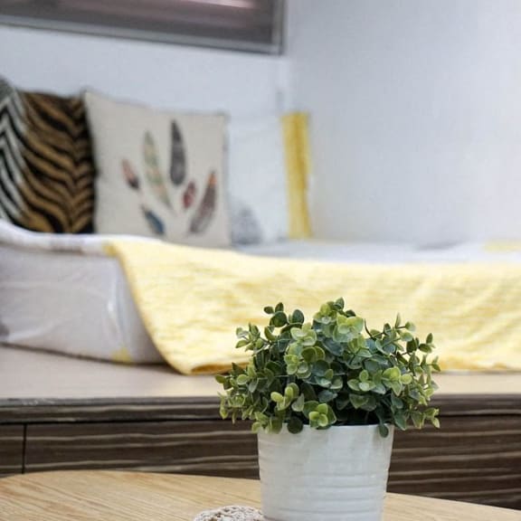 a living room with a couch and a table with a plant
