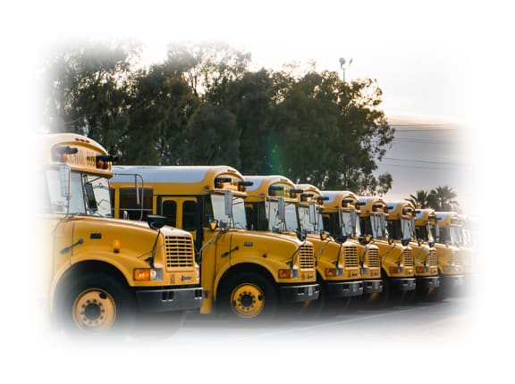 a row of yellow school buses parked in a parking lot