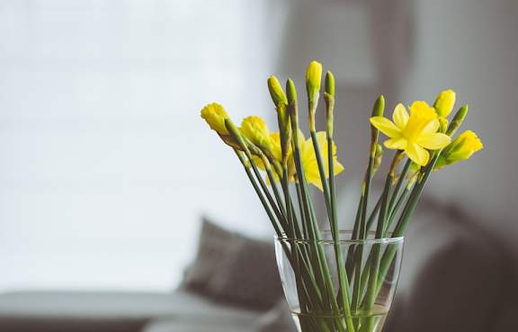 A glass vase with yellow flowers in it.