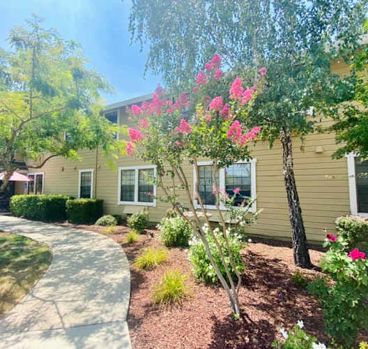 a yellow house with a walkway and trees in front of it at Hilltop Commons Senior Living, California