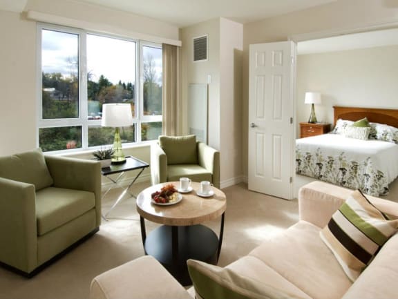 A living room filled with couches and a large window