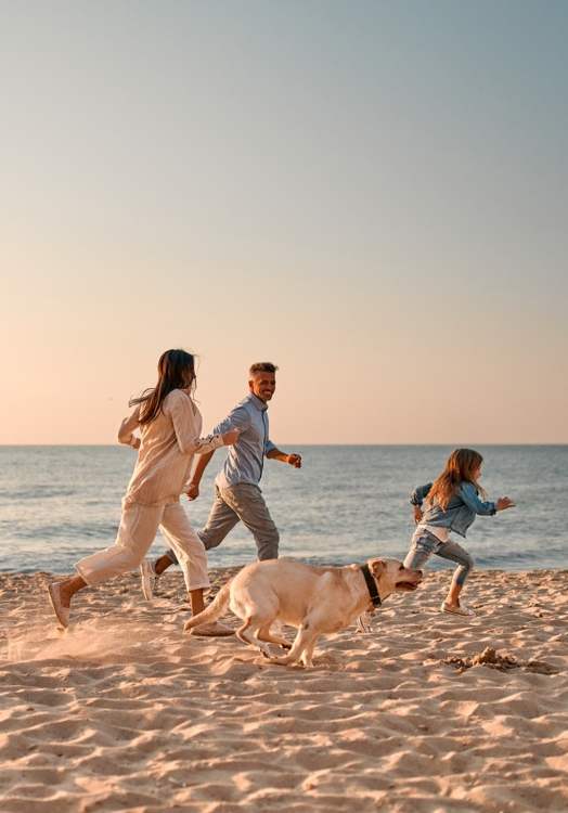 Three people and a dog running on the beach.