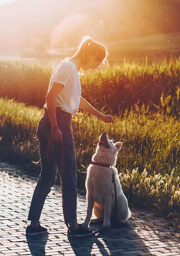 a man and his dog on a walkway