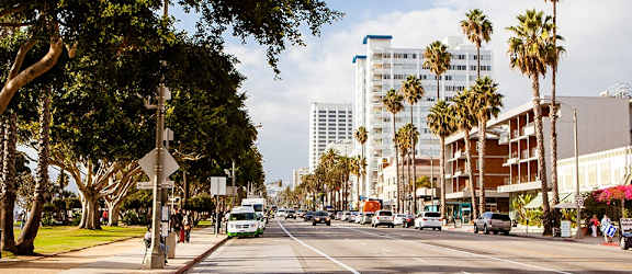 a city street with palm trees and buildings