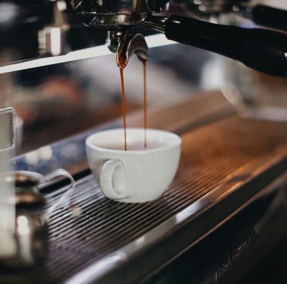 Immerse Yourself in the Deep Bold Flavors of Peets Coffee