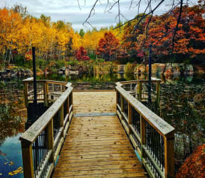 a wooden bridge over a lake with trees in the background