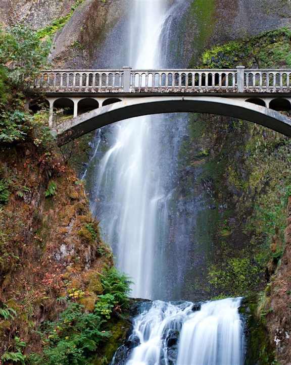 A bridge crosses over a waterfall in a lush green forest.